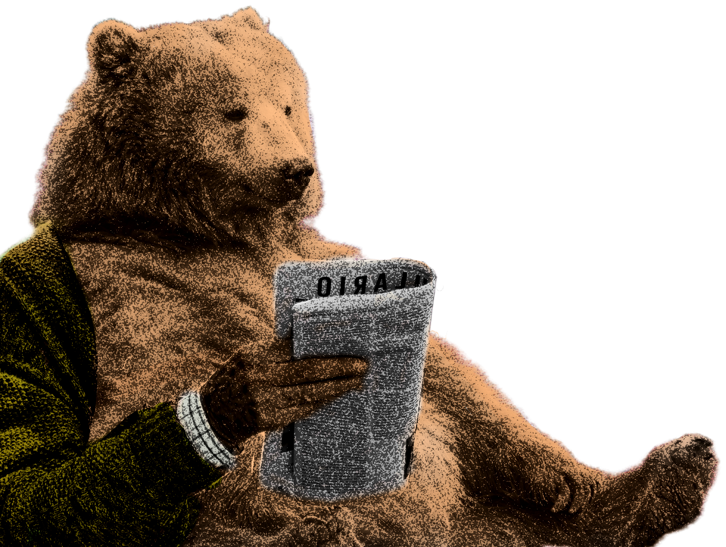 Collage illustration of a bear in a cardigan reading a newsletter